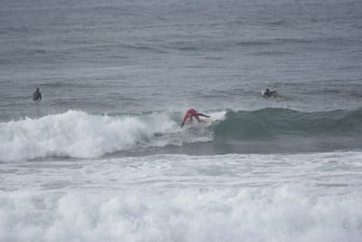 DSC_1516.JPG