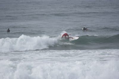 DSC_1517.JPG