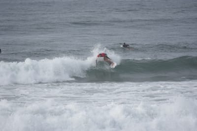 DSC_1518.JPG