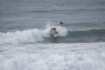 DSC_1519.JPG