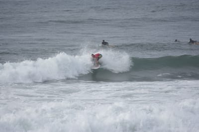 DSC_1520.JPG