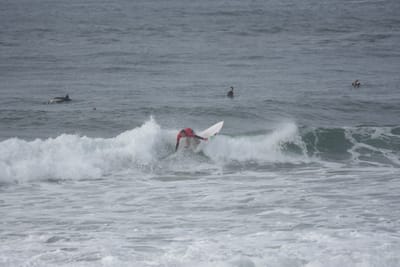 DSC_1523.JPG