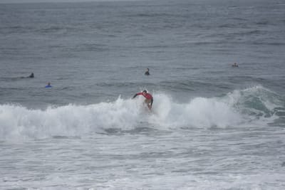 DSC_1526.JPG