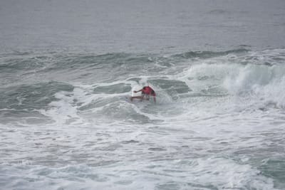 DSC_1550.JPG