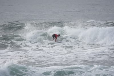 DSC_1554.JPG