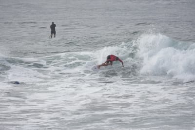 DSC_1556.JPG