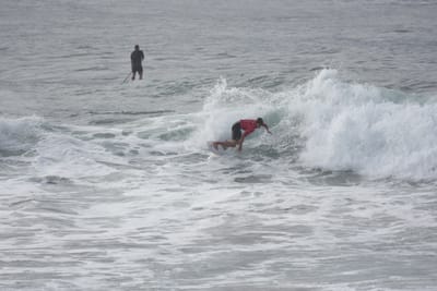 DSC_1557.JPG