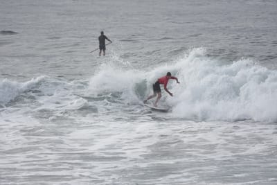 DSC_1559.JPG
