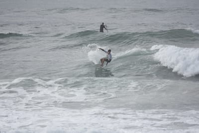 DSC_1569.JPG