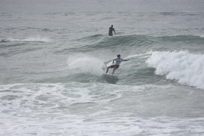 DSC_1571.JPG