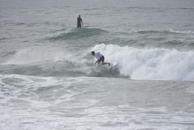DSC_1573.JPG