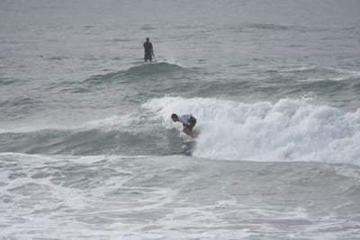DSC_1575.JPG