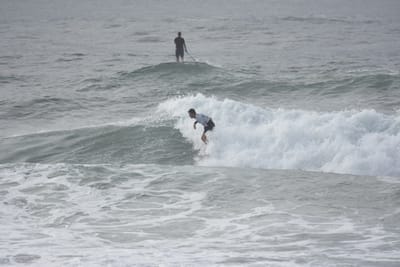 DSC_1576.JPG