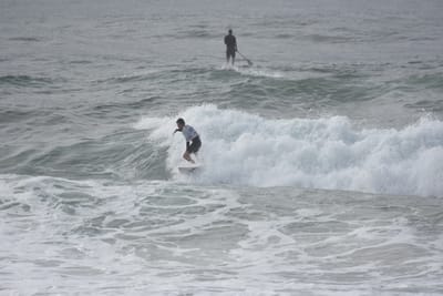 DSC_1577.JPG