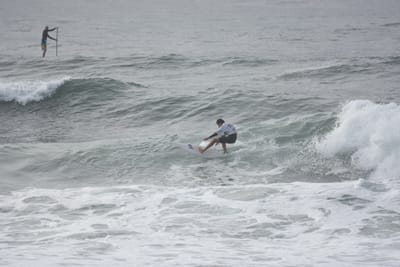 DSC_1578.JPG