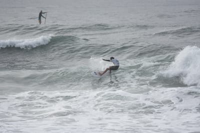 DSC_1579.JPG