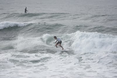 DSC_1584.JPG
