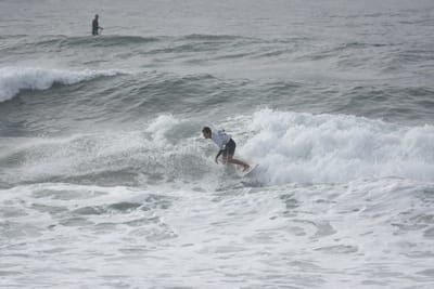 DSC_1585.JPG