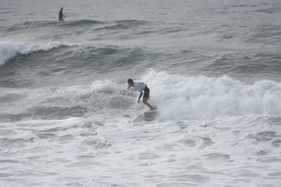 DSC_1586.JPG