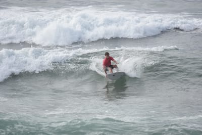 DSC_1628.JPG