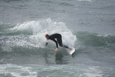 DSC_1661.JPG