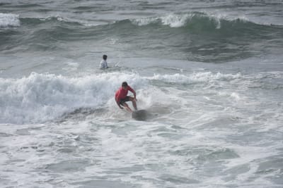DSC_1706.JPG
