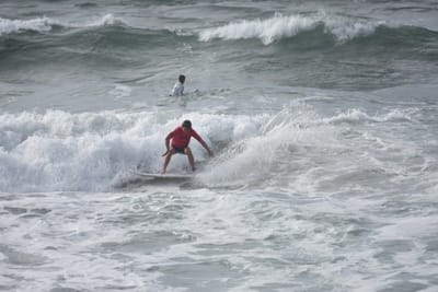 DSC_1708.JPG