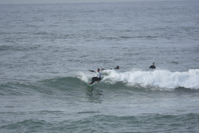 DSC_1720.JPG