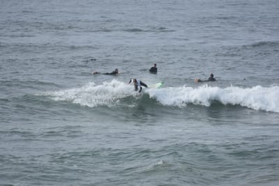 DSC_1725.JPG