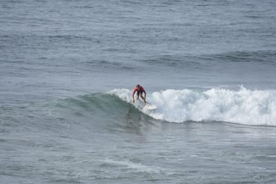 DSC_1737.JPG