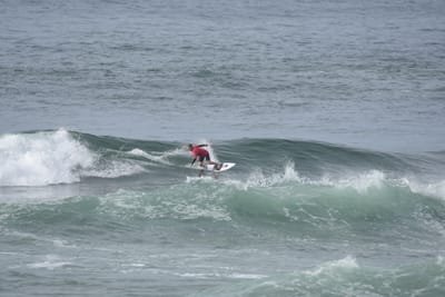 DSC_1756.JPG