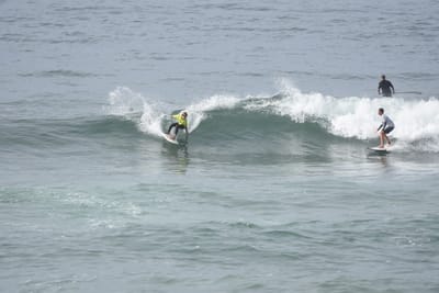 DSC_1763.JPG