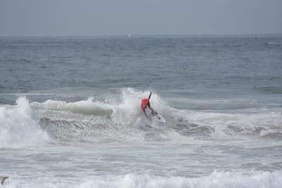 DSC_1784.JPG
