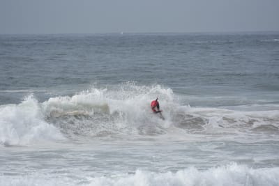 DSC_1785.JPG