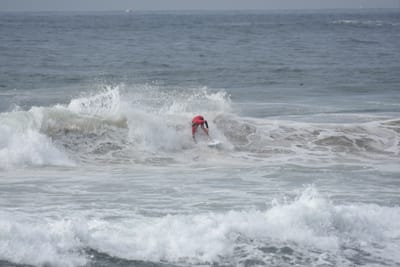 DSC_1786.JPG