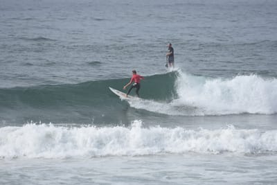 DSC_1817.JPG