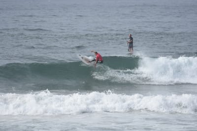 DSC_1818.JPG
