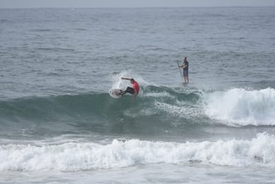 DSC_1819.JPG