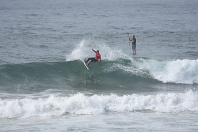 DSC_1820.JPG