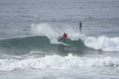 DSC_1822.JPG