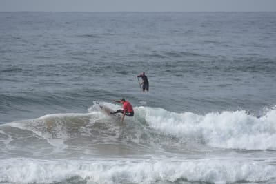 DSC_1826.JPG