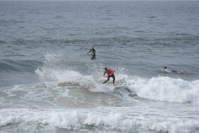 DSC_1831.JPG