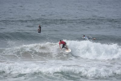 DSC_1832.JPG