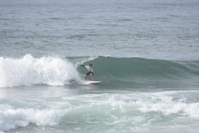 DSC_1848.JPG