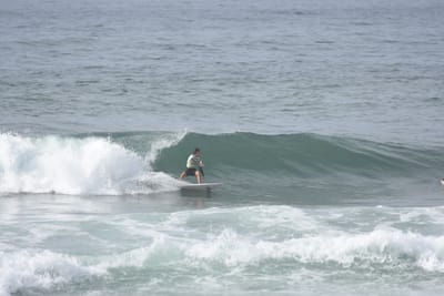 DSC_1849.JPG