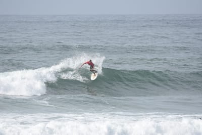 DSC_1873.JPG