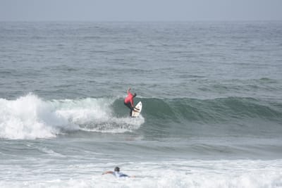DSC_1875.JPG