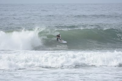 DSC_1898.JPG