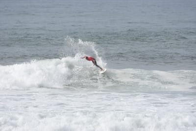 DSC_1925.JPG