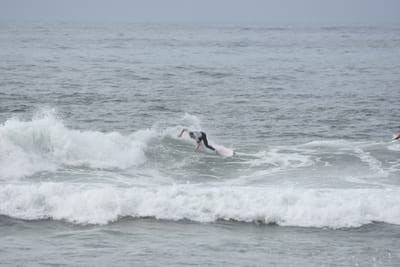 DSC_1956.JPG